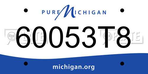 60053T8 Michigan License Plate