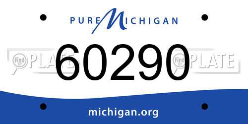 60290 Michigan License Plate