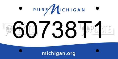 60738T1 Michigan License Plate