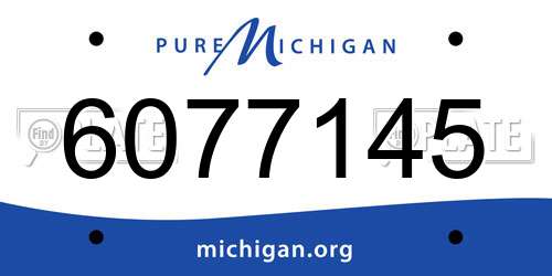 6077145 Michigan License Plate