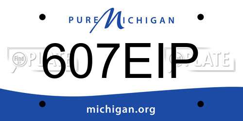 607EIP Michigan License Plate