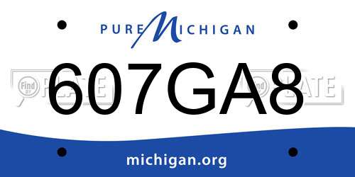 607GA8 Michigan License Plate