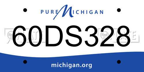 60DS328 Michigan License Plate