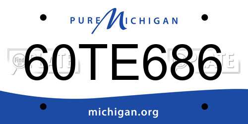60TE686 Michigan License Plate