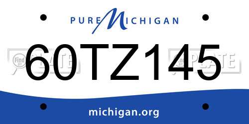 60TZ145 Michigan License Plate