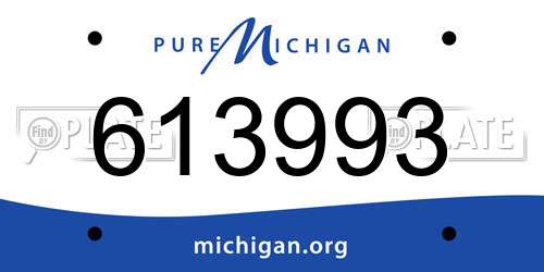 613993 Michigan License Plate