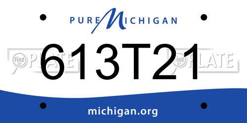613T21 Michigan License Plate
