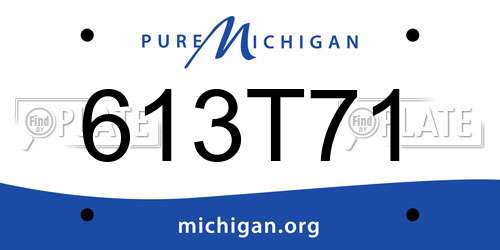 613T71 Michigan License Plate