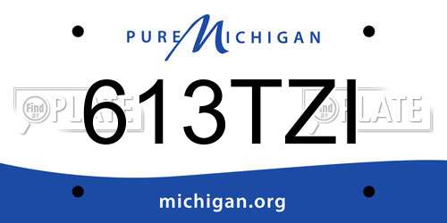 613TZI Michigan License Plate