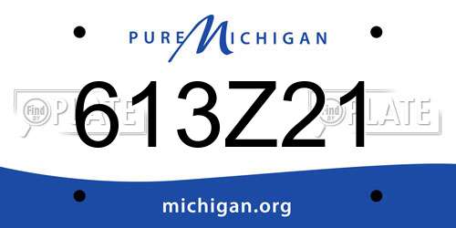 613Z21 Michigan License Plate