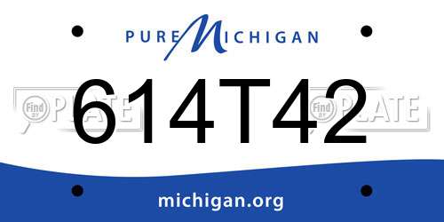 614T42 Michigan License Plate