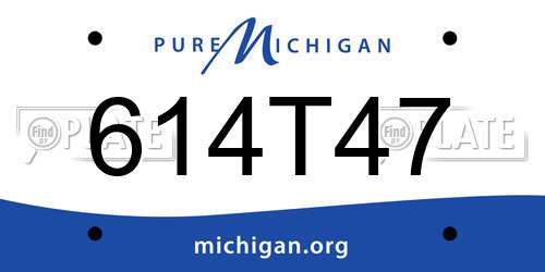 614T47 Michigan License Plate