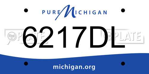 6217DL Michigan License Plate