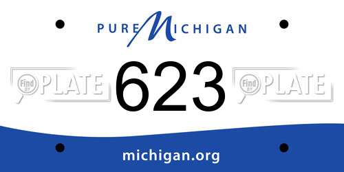 623 Michigan License Plate