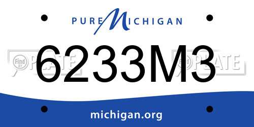 6233M3 Michigan License Plate