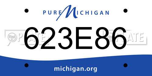 623E86 Michigan License Plate