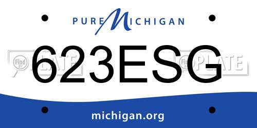 623ESG Michigan License Plate