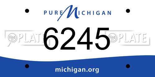 6245 Michigan License Plate