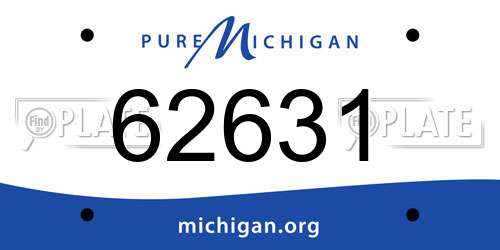 62631 Michigan License Plate
