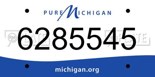 6285545 Michigan License Plate