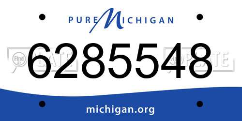 6285548 Michigan License Plate