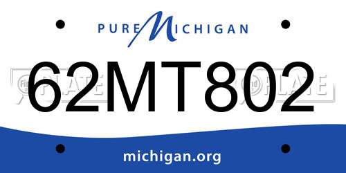 62MT802 Michigan License Plate