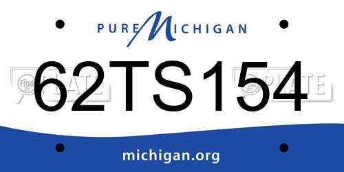 62TS154 Michigan License Plate