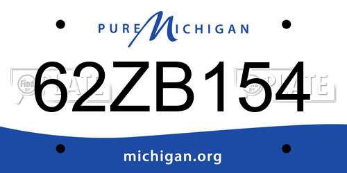 62ZB154 Michigan License Plate