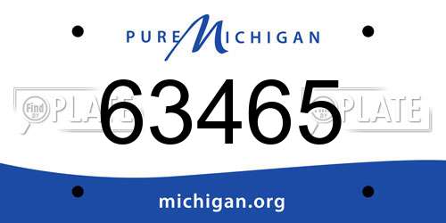 63465 Michigan License Plate
