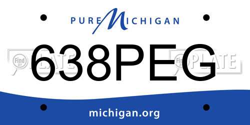638PEG Michigan License Plate