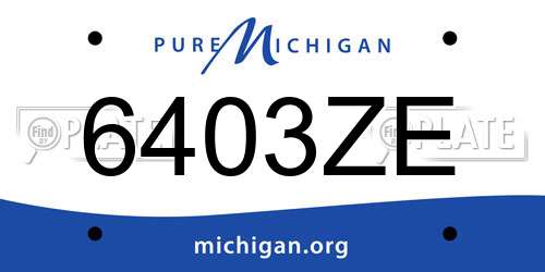 6403ZE Michigan License Plate