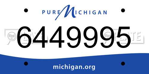 6449995 Michigan License Plate