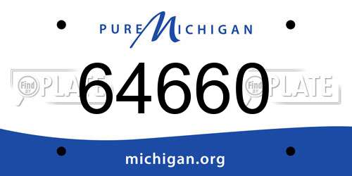 64660 Michigan License Plate