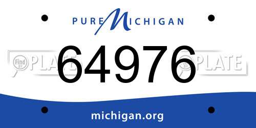 64976 Michigan License Plate