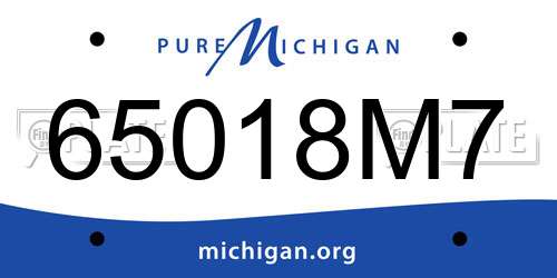 65018M7 Michigan License Plate