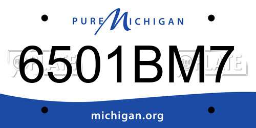 6501BM7 Michigan License Plate