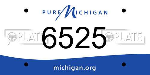 6525 Michigan License Plate