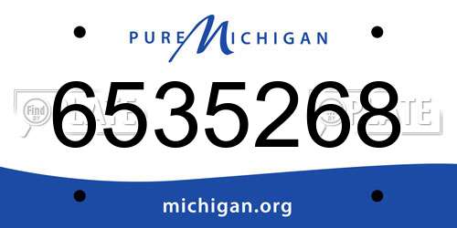 6535268 Michigan License Plate