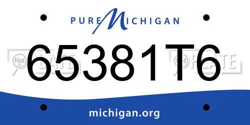 65381T6 Michigan License Plate