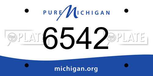 6542 Michigan License Plate