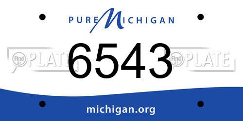 6543 Michigan License Plate