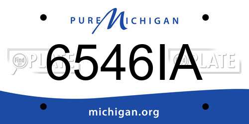 6546IA Michigan License Plate