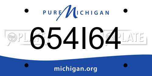 654I64 Michigan License Plate