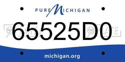 65525D0 Michigan License Plate