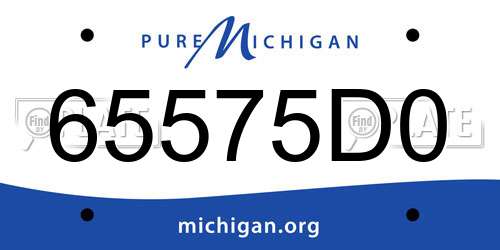 65575D0 Michigan License Plate