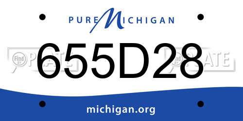 655D28 Michigan License Plate