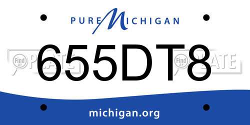 655DT8 Michigan License Plate