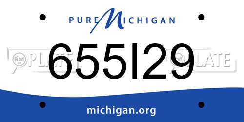 655I29 Michigan License Plate