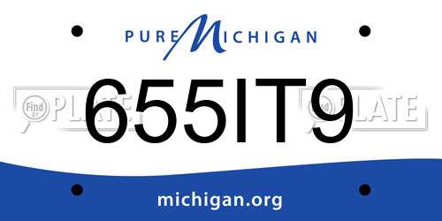 655IT9 Michigan License Plate