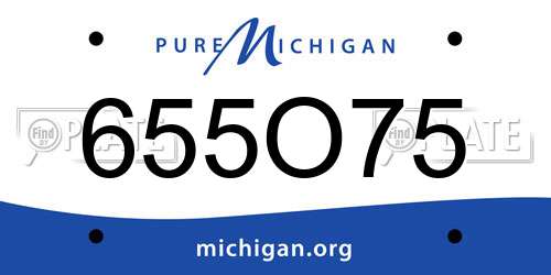 655O75 Michigan License Plate